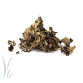 Dried Wild Black Trumpet Mushrooms / lb